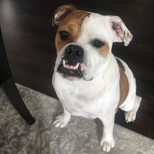 Meet your Posher, Britt